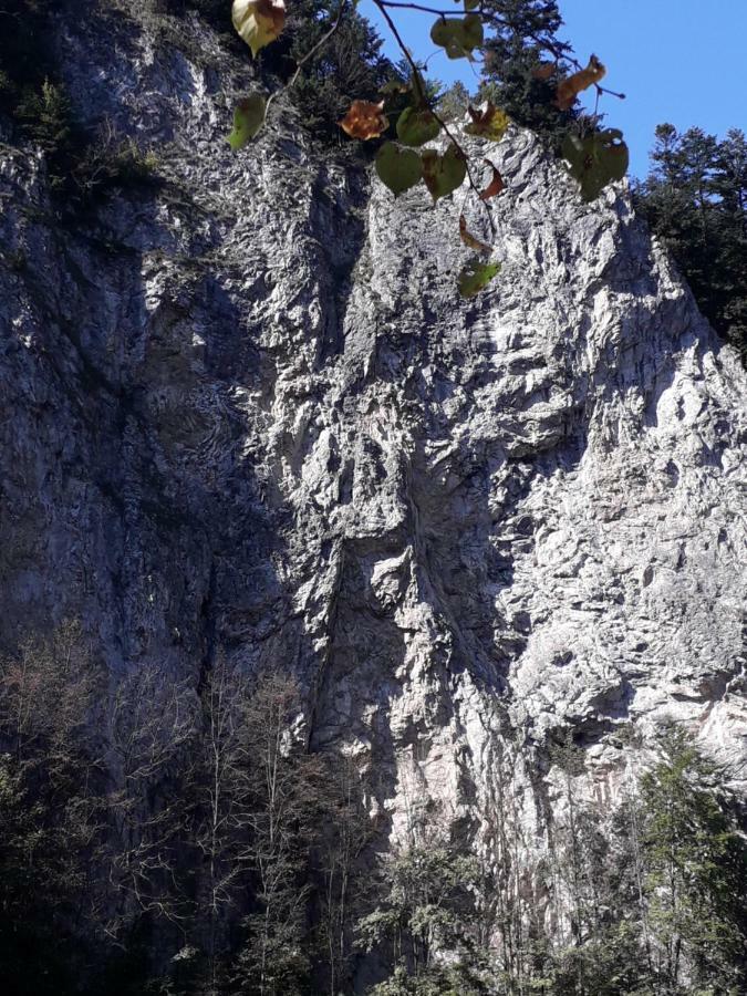 Chata Holica Pieniny Lesnica Exterior photo
