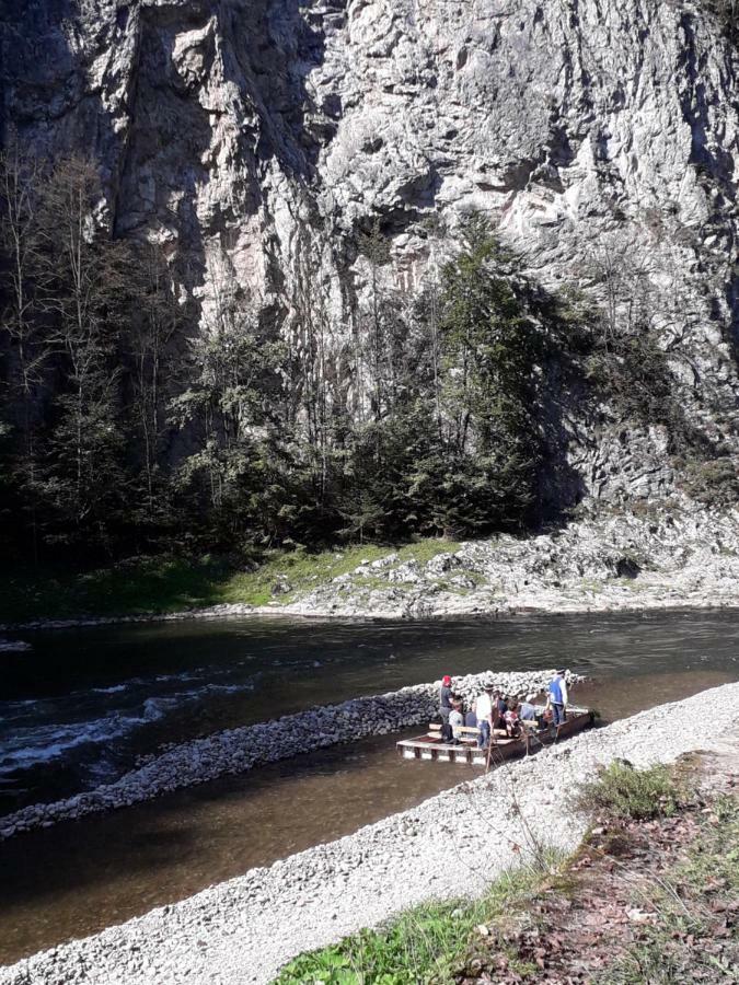 Chata Holica Pieniny Lesnica Exterior photo