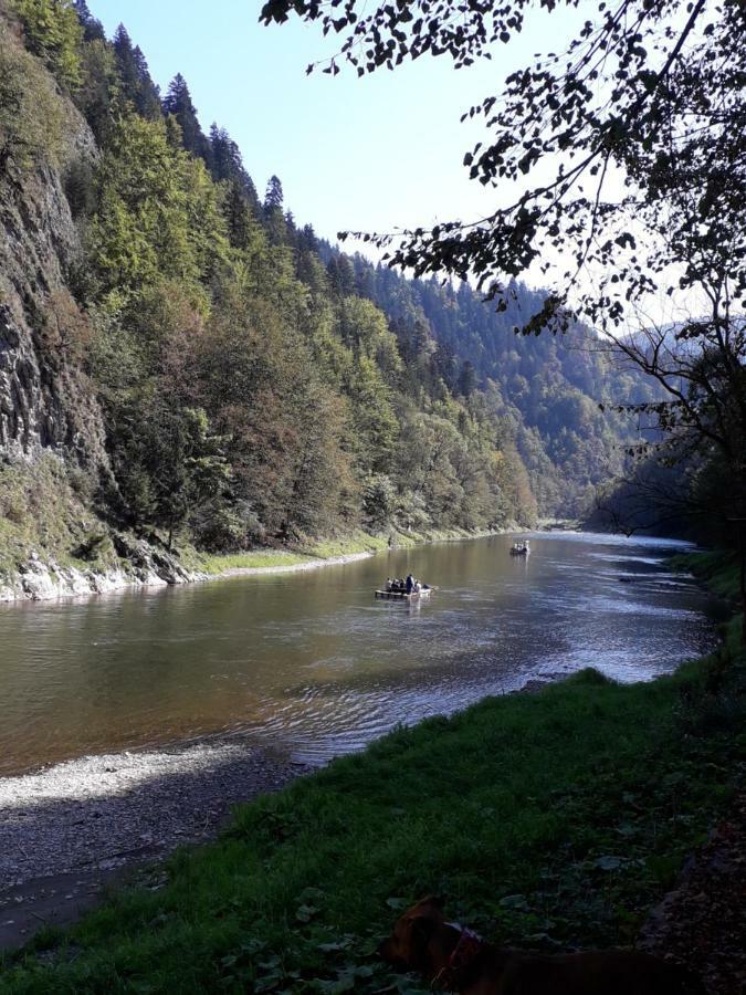 Chata Holica Pieniny Lesnica Exterior photo