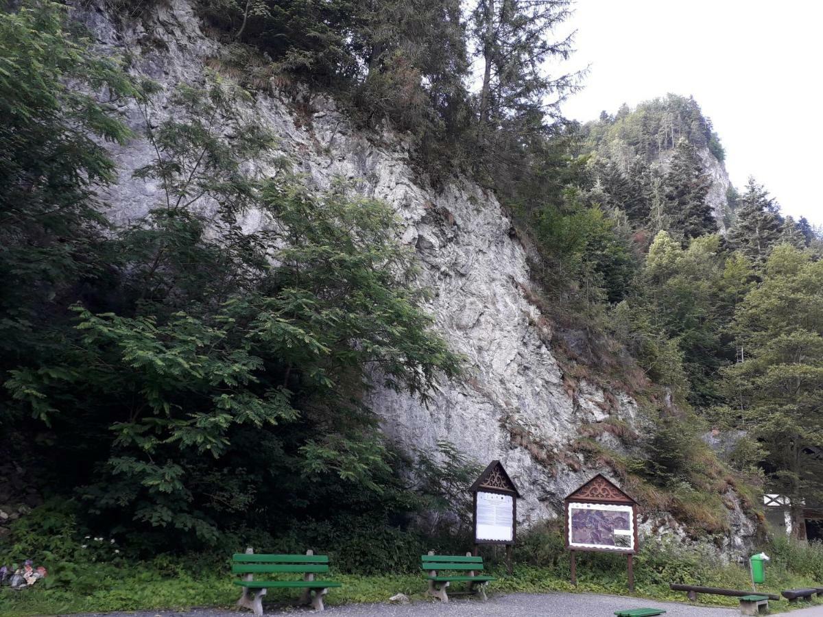 Chata Holica Pieniny Lesnica Exterior photo