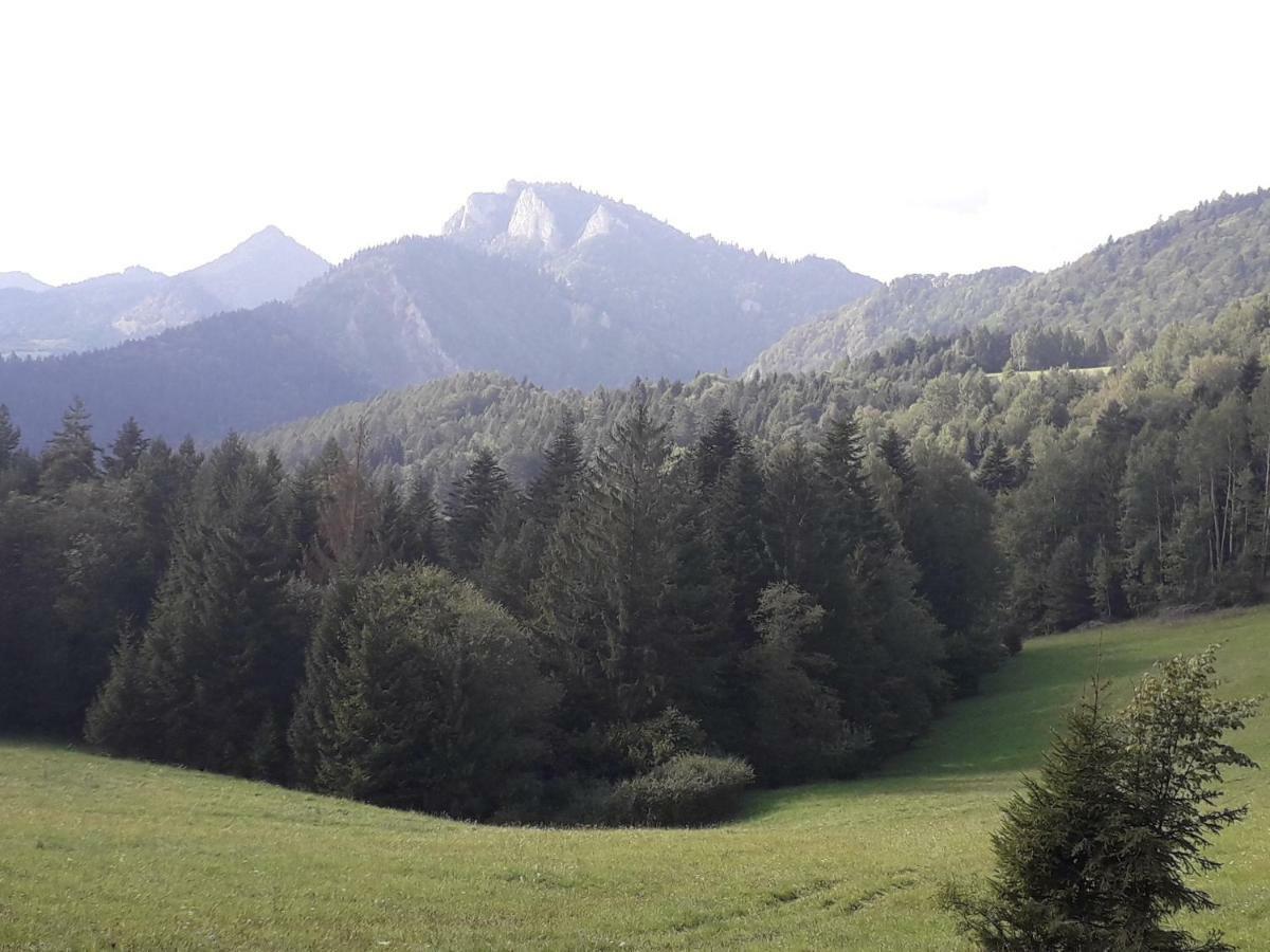 Chata Holica Pieniny Lesnica Exterior photo